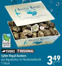 CITTI Markt Sylter Royal Austern Angebot