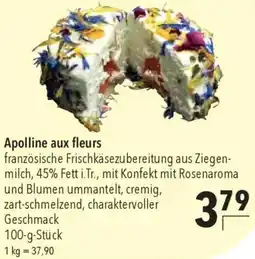 CITTI Markt Apolline aux fleurs Angebot