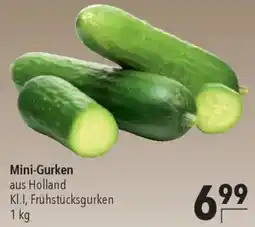 CITTI Markt Mini-Gurken Angebot