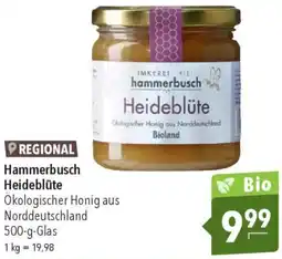 CITTI Markt Hammerbusch Heideblüte Angebot