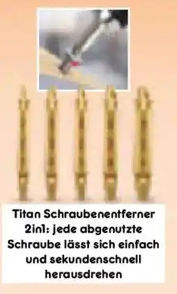 Netto Marken-Discount SMART Tool Titan Schraubenentferner 2inl Angebot