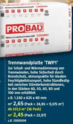 Bauhaus PROBAU Trennwandplatte 'TWP1' Angebot