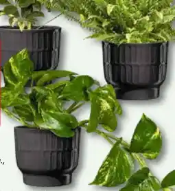 Bauhaus Übertopf 'Cusco' Angebot