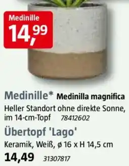 Bauhaus Übertopf 'Lago' Angebot