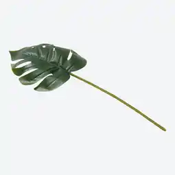 NKD Kunstpflanzen-Zweig in Monstera-Optik, ca. 57 cm Angebot