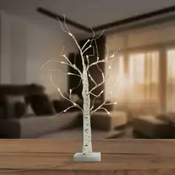 NKD LED-Birke, Höhe ca. 60 cm Angebot