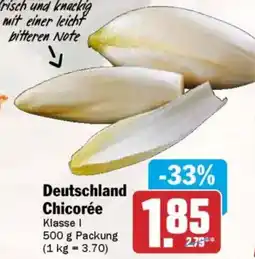 AEZ Deutschland Chicorée Angebot