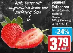 AEZ Spanien Erdbeeren Angebot