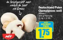 AEZ Deutschland/Polen Champignons weiß Angebot