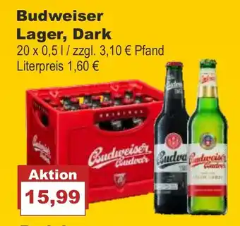 Bilgro Budweiser Lager, Dark 20x0,5L Angebot