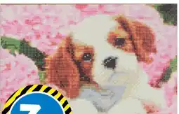 TEDi Diamond Painting-Set Angebot