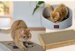 Fressnapf AniOne Kratz-Zubehör Angebot