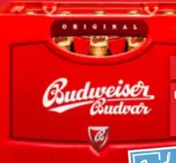 Kaufland Budweiser Budvar (CZ) Bier Angebot