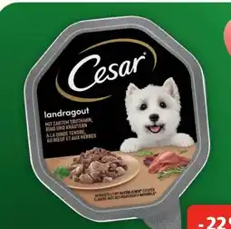Fressnapf Cesar Nassfutter Angebot