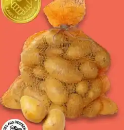 Kaufland Speisekartoffeln XXL Angebot
