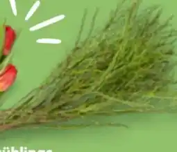 Kaufland Frühlings-Beiwerk Angebot