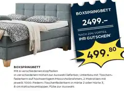 Möbel Buss Boxspringbett Angebot
