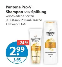 V Markt Pantene pro-v shampoo oder spülung Angebot