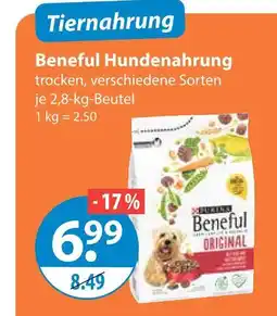 V Markt Beneful hundenahrung Angebot