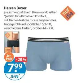 V Markt Herren boxer Angebot