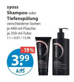 V Markt Syoss shampoo oder tiefenspülung Angebot