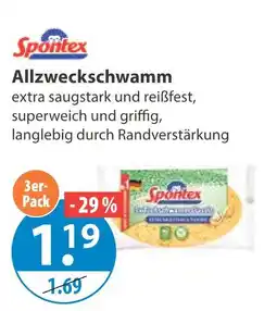 V Markt Spontex allzweckschwamm Angebot
