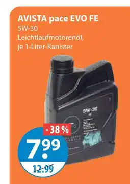 V Markt Avista pace evo fe Angebot