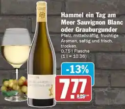 AEZ Hammel ein Tag am Meer Sauvignon Blanc oder Grauburgunder Angebot