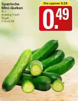 WEZ Spanische Mini-Gurken Angebot