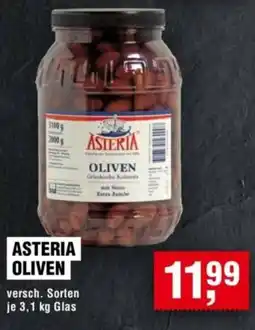 Handelshof Asteria oliven Angebot