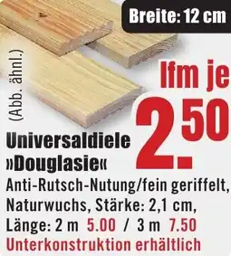 B1 Discount Baumarkt Universaldiele Douglasie Angebot