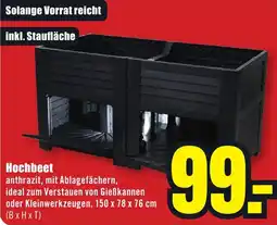 B1 Discount Baumarkt Hochbeet Angebot