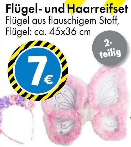 Flügel- und Haarreifset Angebot bei TEDi