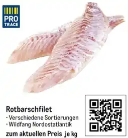 METRO Rotbarschfilet Angebot