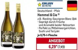 METRO Hammel & Cie Angebot