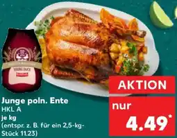 Kaufland Junge poln. Ente Angebot