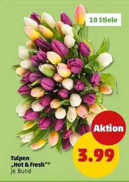 PENNY Tulpen Hot & Fresh* je Bund Angebot