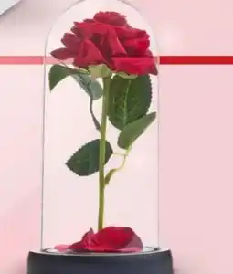 Woolworth Deko Kuppel mit Rose Valentine Angebot