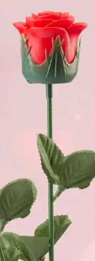 Woolworth LED Rose Valentine Angebot