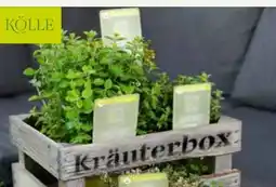Pflanzen Kölle Kölle Sunny Herbs Angebot