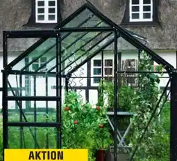 OBI Halls Gewächshaus Popular 106 Angebot