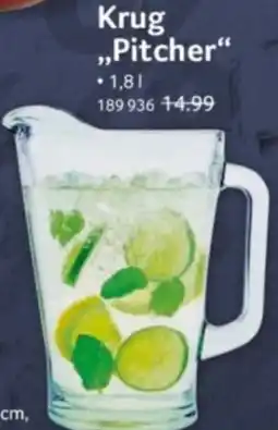 Selgros Krug ,,Pitcher" Angebot