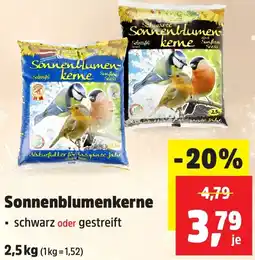 Thomas Philipps Sonnenblumenkerne Angebot