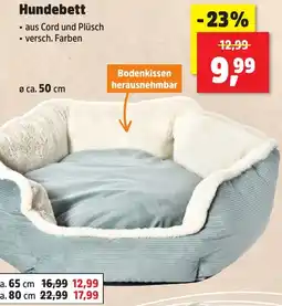 Thomas Philipps Hundebett Angebot
