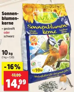 Thomas Philipps Sonnenblumenkerne Angebot