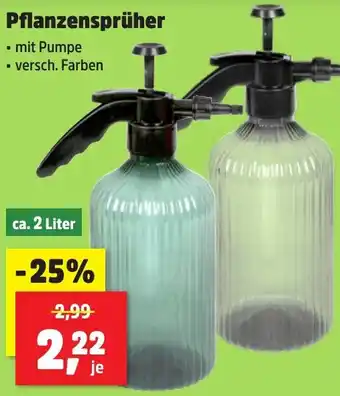 Thomas Philipps Pflanzensprüher Angebot