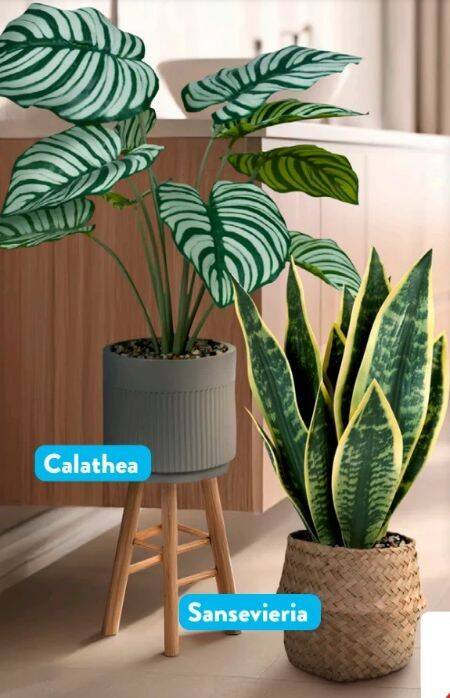 Home Creation Kunstpflanze 1 stk Angebot bei Aldi Sd