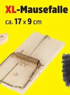 Thomas Philipps XL-Mausefalle Angebot