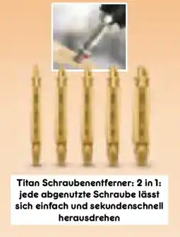 Netto Marken-Discount Titan Schraubenentferner 2 in 1 Angebot