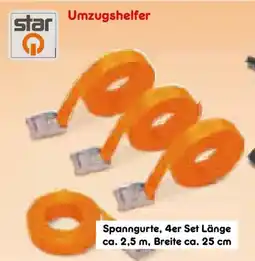 Netto Marken-Discount Umzugshelfer Spanngurte, 4er Set Angebot